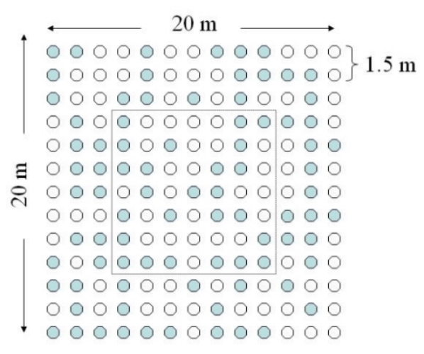 Within plot design of a 2-species plot in Satakunta