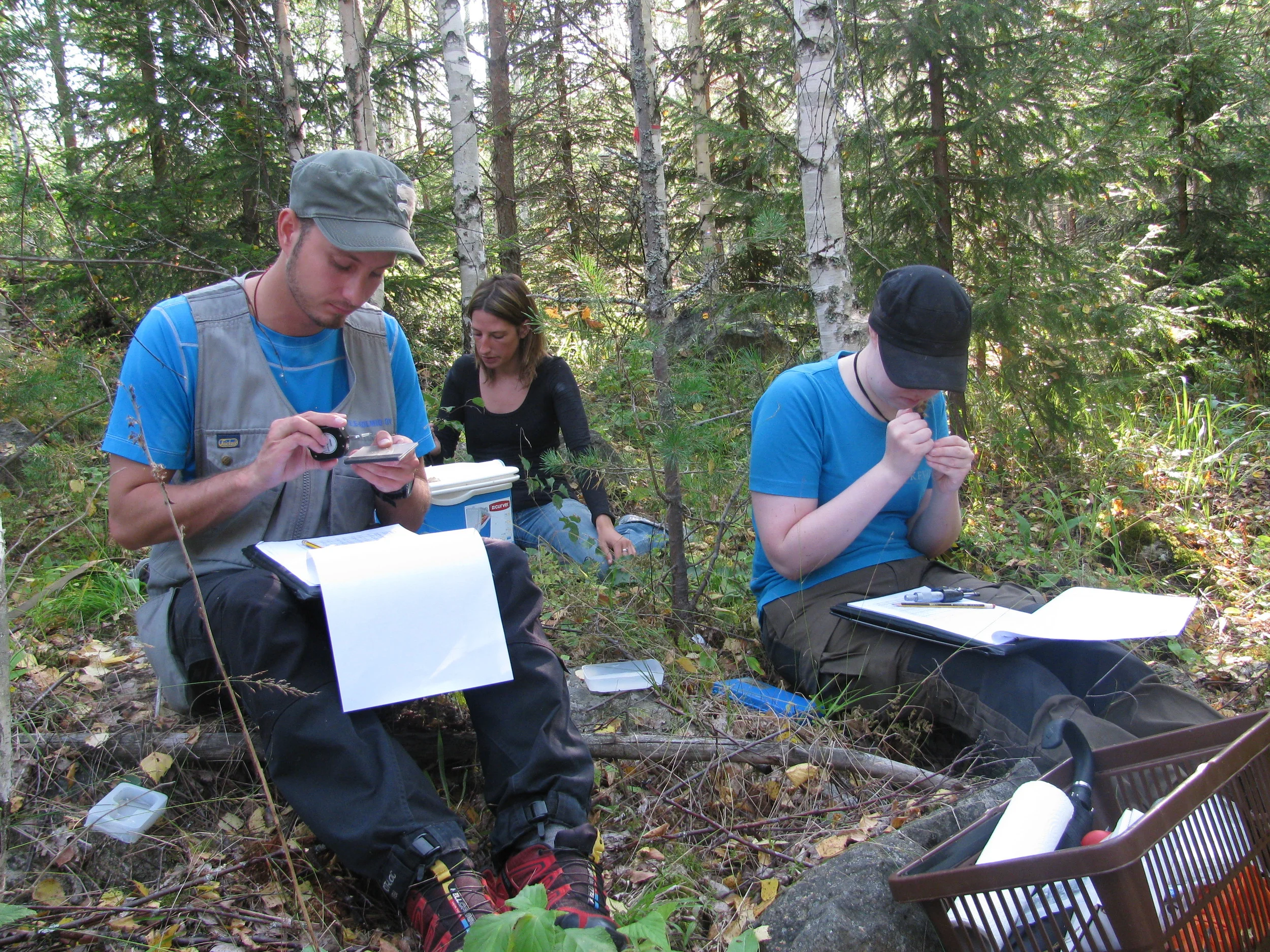 Leaf trait measurement on the field