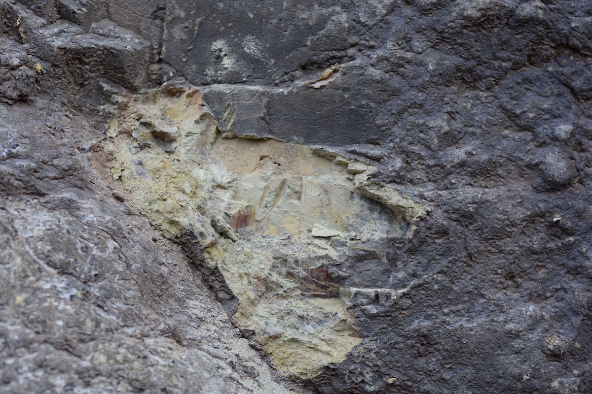 Local,Bentonite.jpg