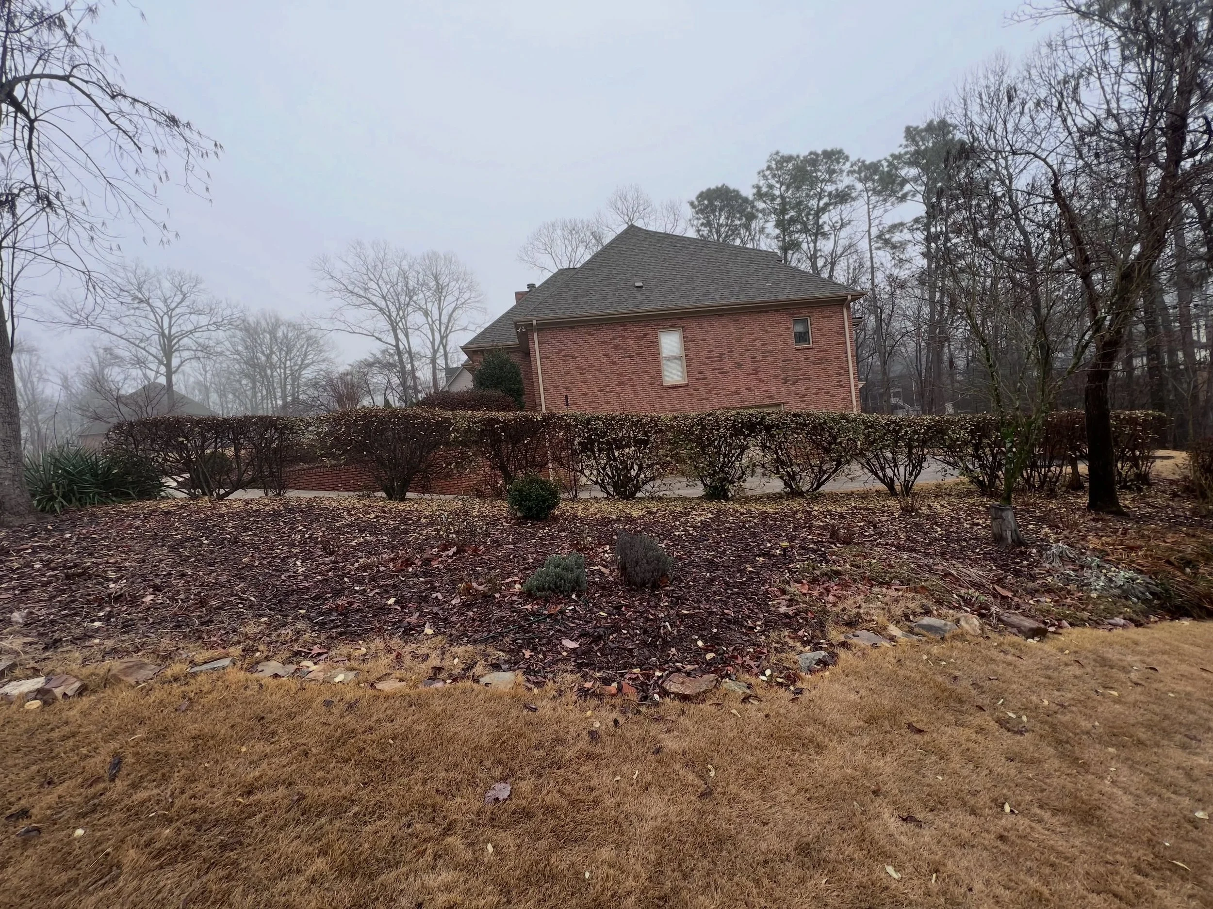 This before and after is crazy . And You can do it too . You can create your own garden if you obsesses about it like i did for years . 

My side yard was covered in weeds and odd plants . Mainly a place for weeds to drive me crazy . I had a vision b