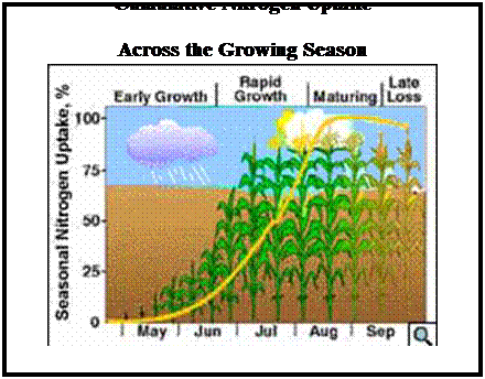 Corn Nitrogen Use Chart