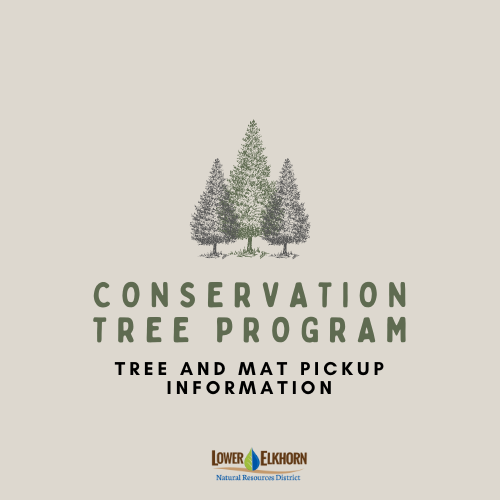 _Conservation Tree Program Pick Up Information.png