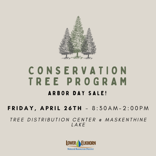 Conservation Tree Program Arbor Day Surplus Sale.png