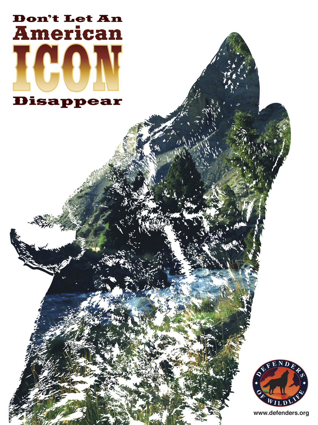 Alexander_Bacigalupi_ Portfolio-4.jpg