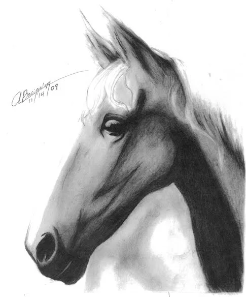 Mr. Ed