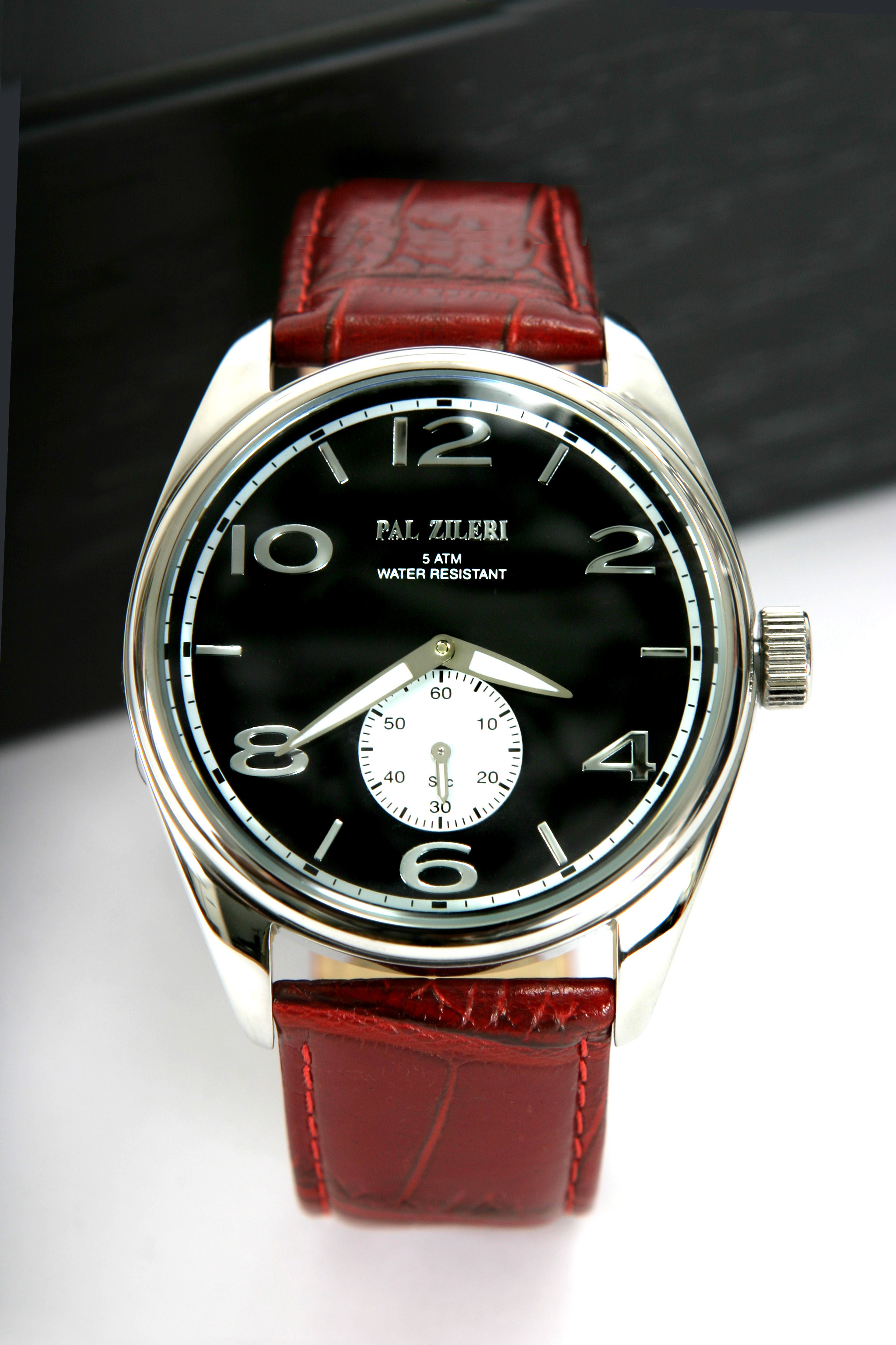 1palzilwatch.jpg