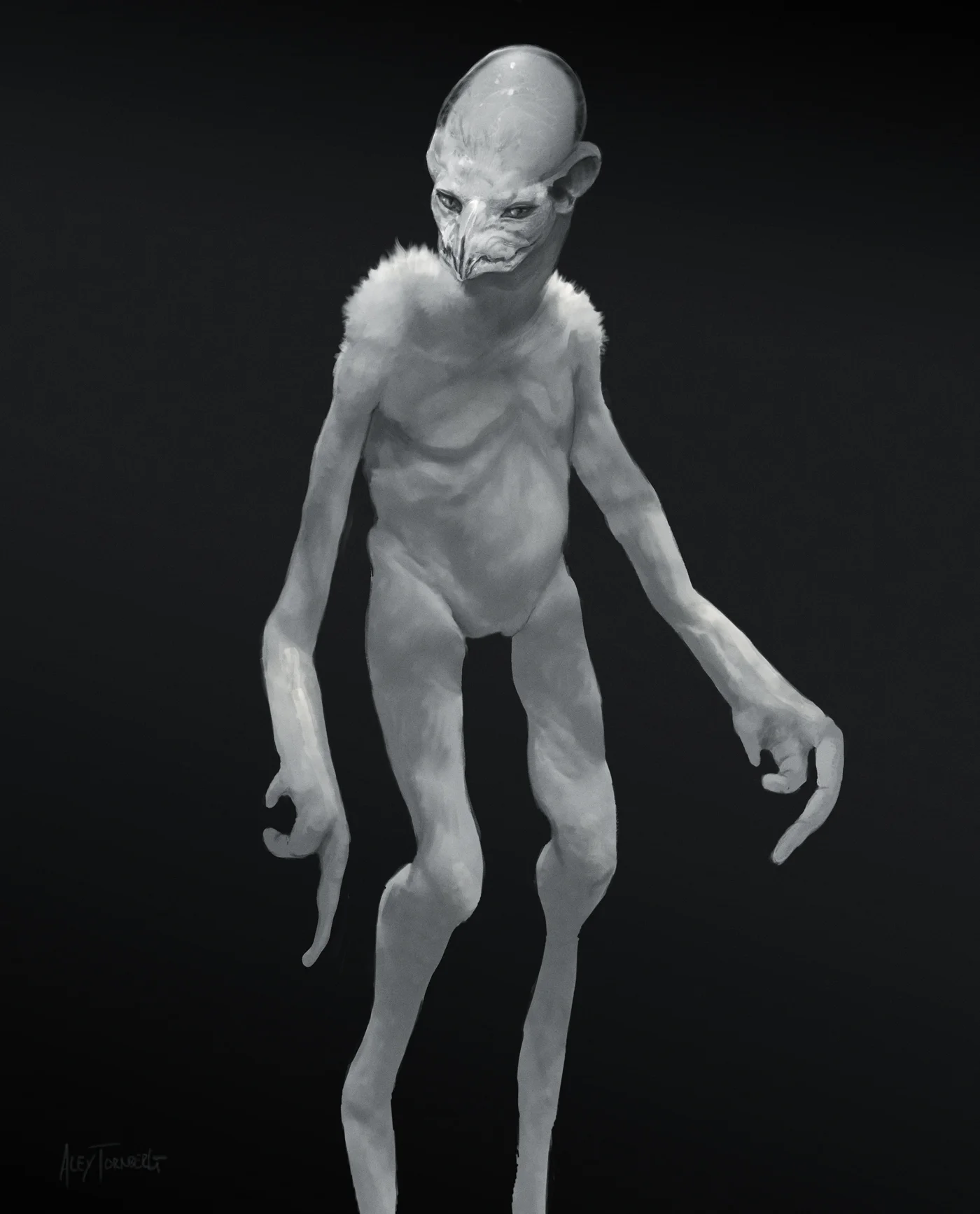 matador_alien_final.jpg