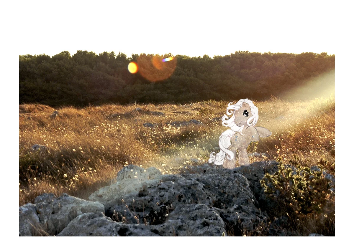 Oliva Magris " Sun Ray"- Buy on Luisaviaroma.com