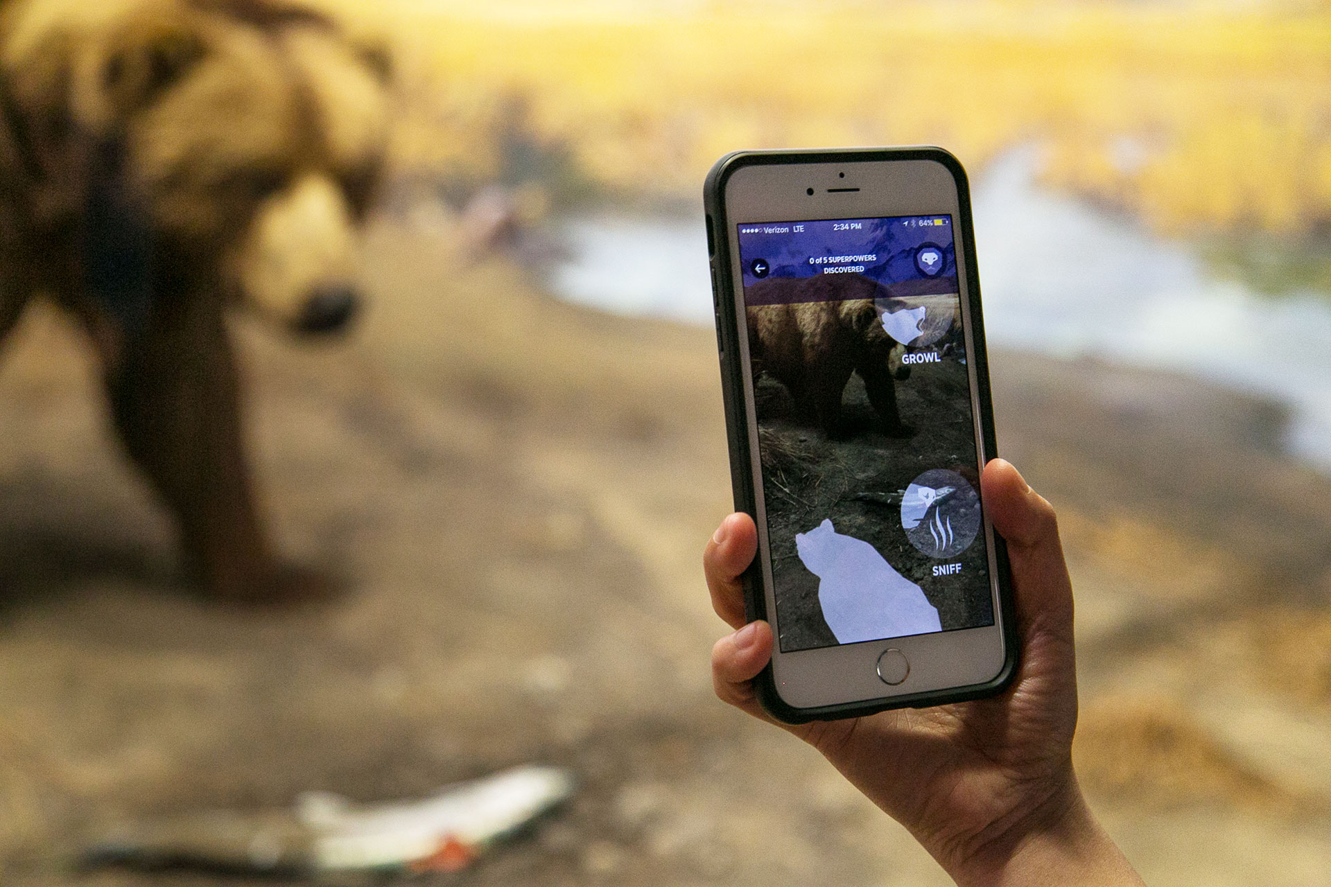 amnh-explorer-app-5.jpg