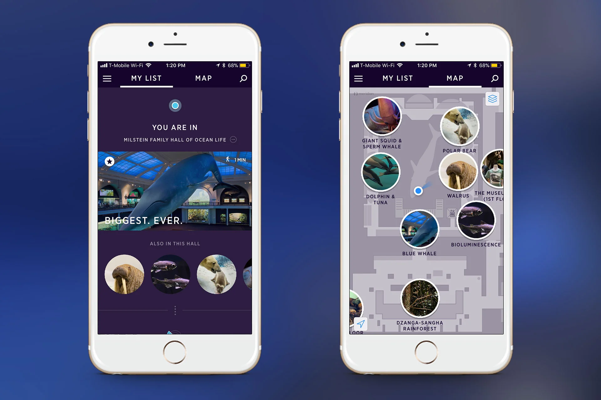 amnh-explorer-app-2.jpg