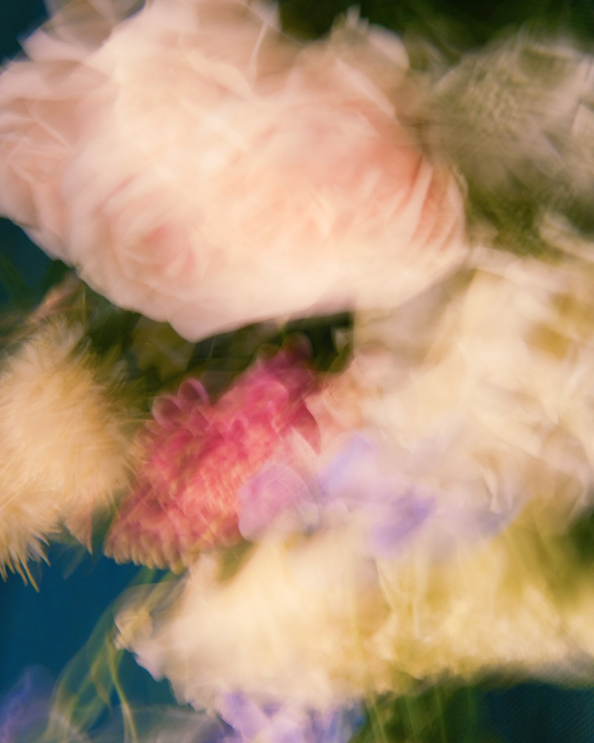 FLOWER3.jpg