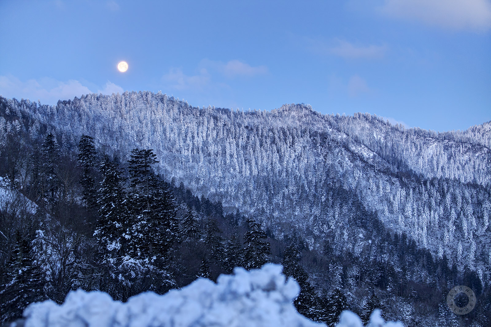 East Tennessee | Winter Snow