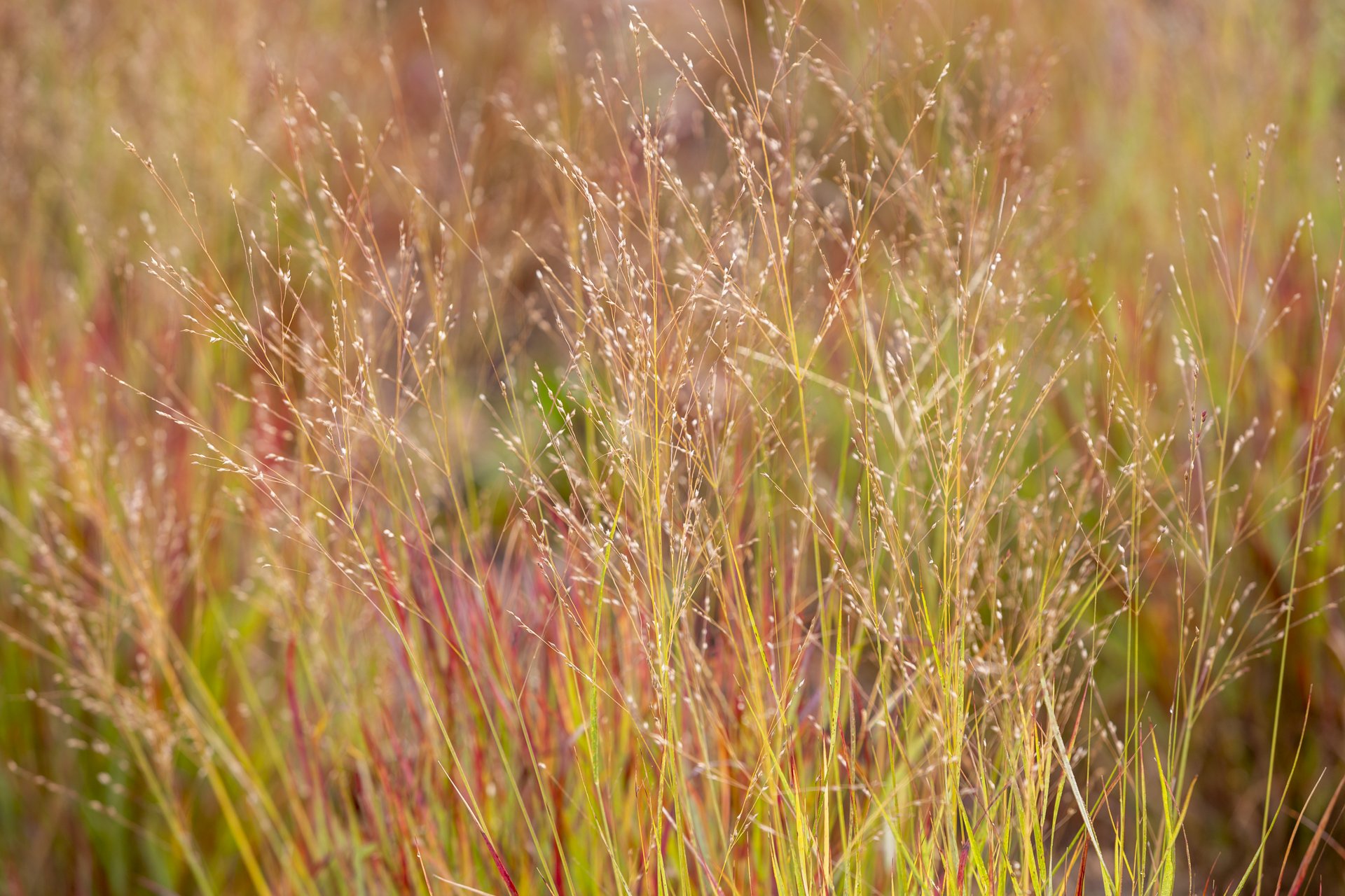 LF-Bishop_Fall2021-1920px-37.jpg