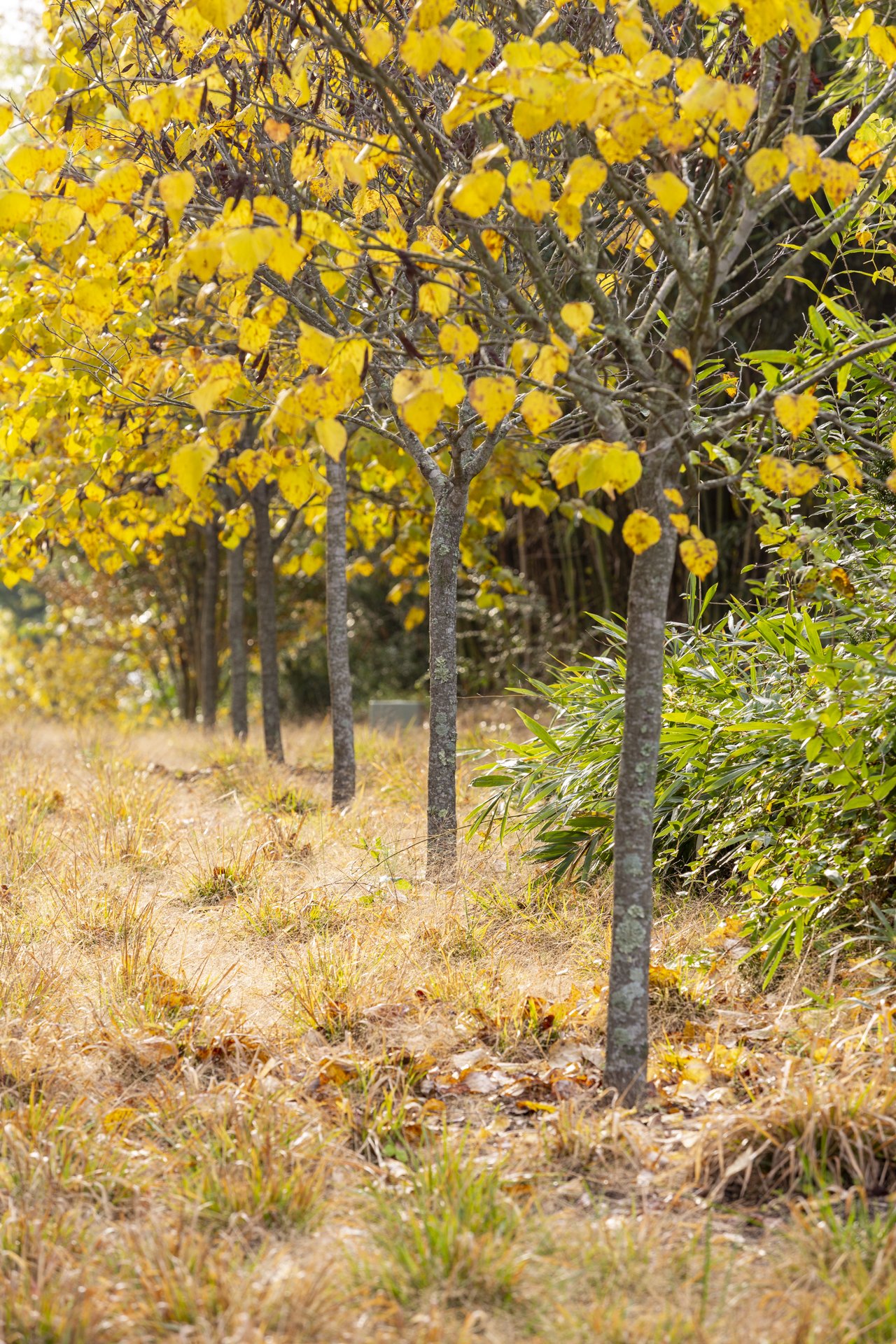 LF-Bishop_Fall2021-1920px-38.jpg