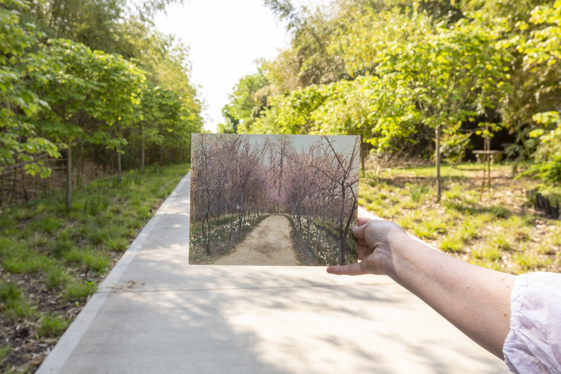 LF-Bishop_Spring2022-1920px-69.jpg