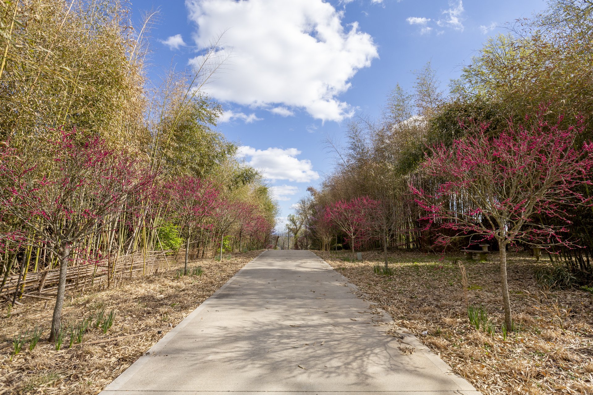 LF-Bishop_Spring2023-1920px-12.jpg