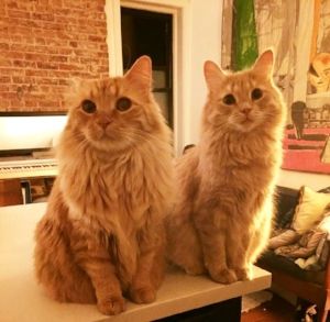 Kitty and Leo!