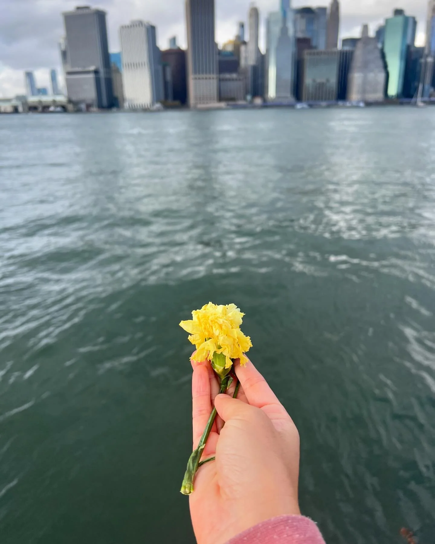 Integration is a hugely important part of our practice, especially after a Rounding Retreat or receiving any new transmission of knowledge. 

We are process oriented and know that all true knowledge is validated by our own personal experience. 

Expa