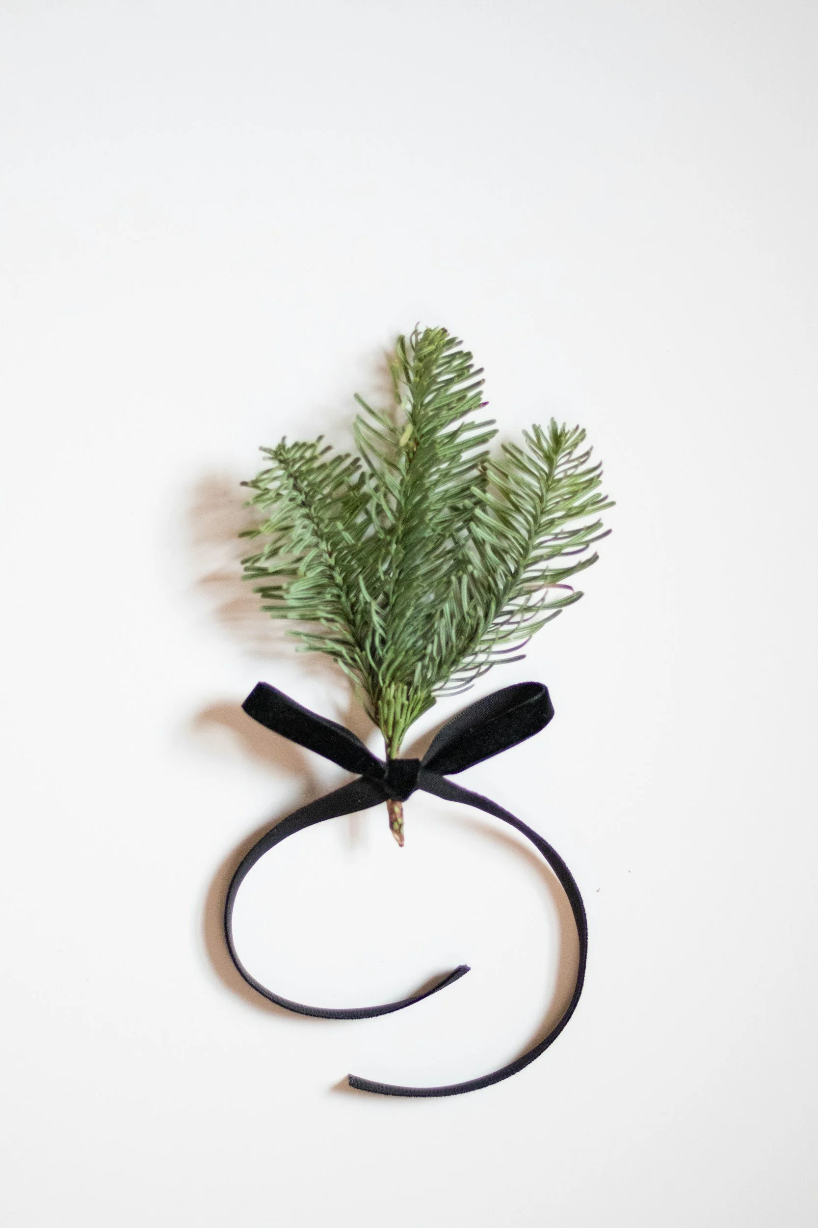 Holiday GM &amp; Pot Luck Dinner