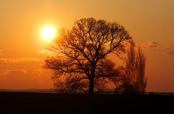Sunset.jpg