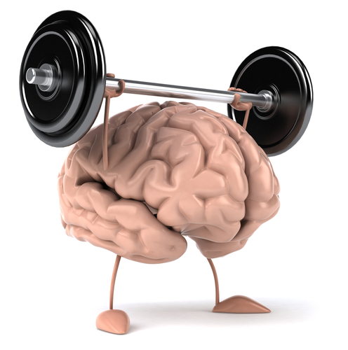 Brain-like-muscle.jpg