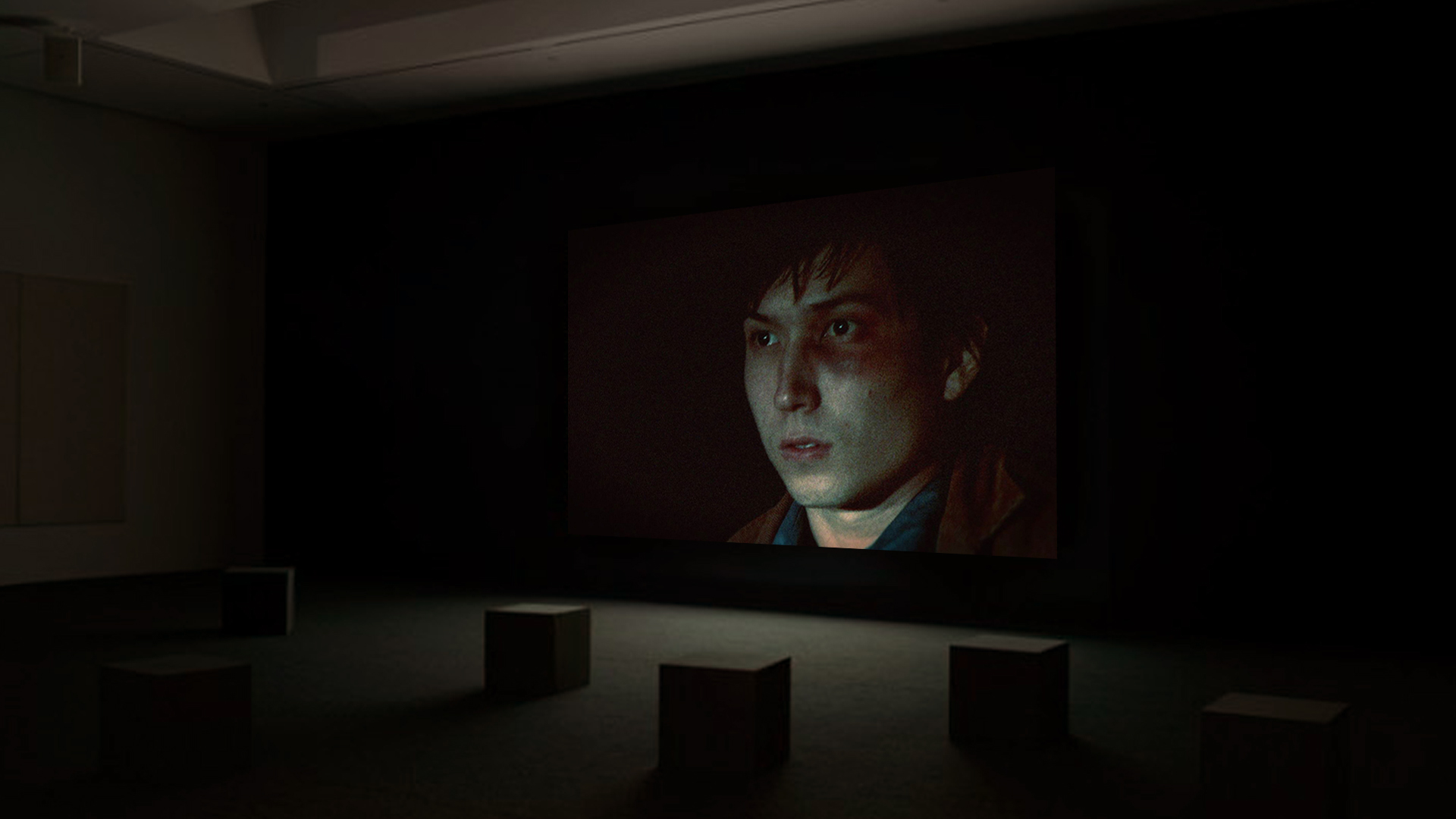 SCOUT VIDEO INSTALLATION - single channel, HD color, 7.1 sound, 7min.