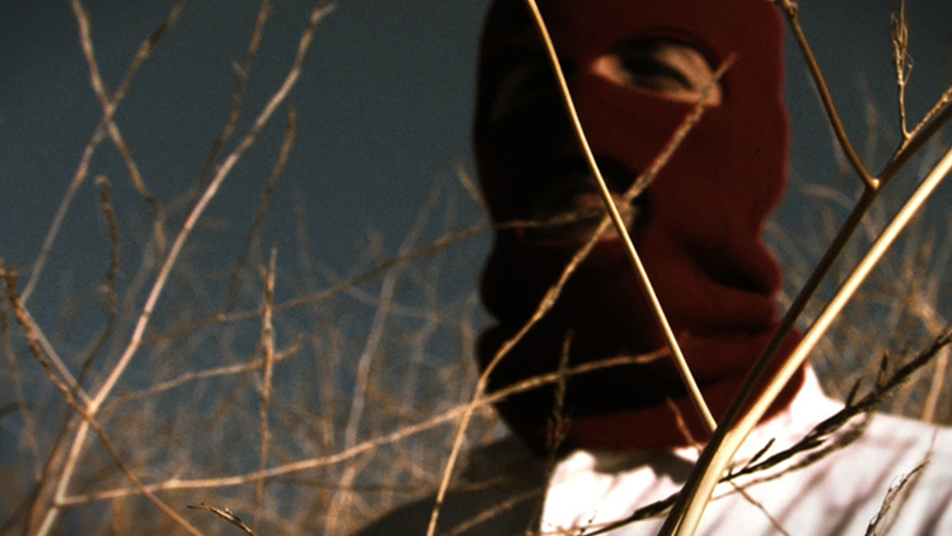 SCOUT 001 VIDEO STILL - single channel, HD color, 7.1 sound, 7min.