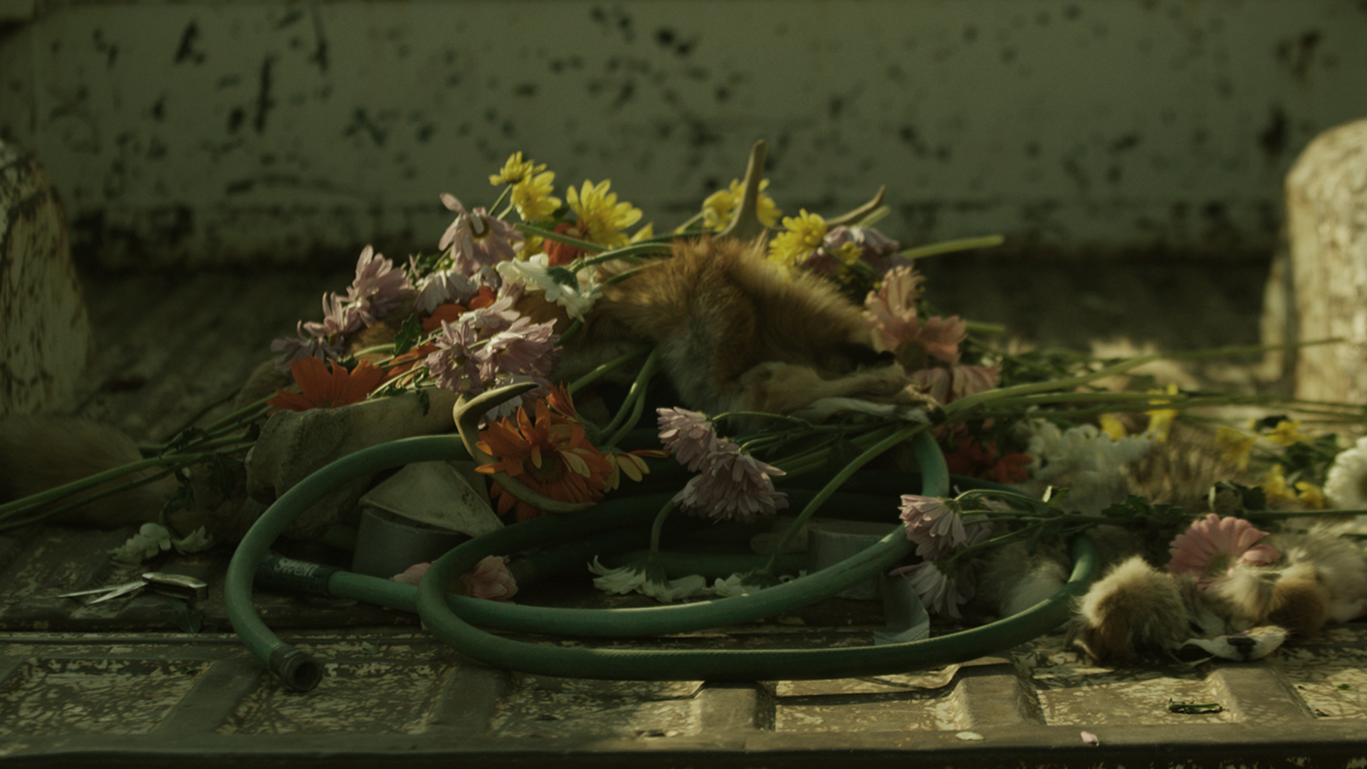 FACADE VIDEO STILL - single channel HD color, 7.1 sound, 5min.