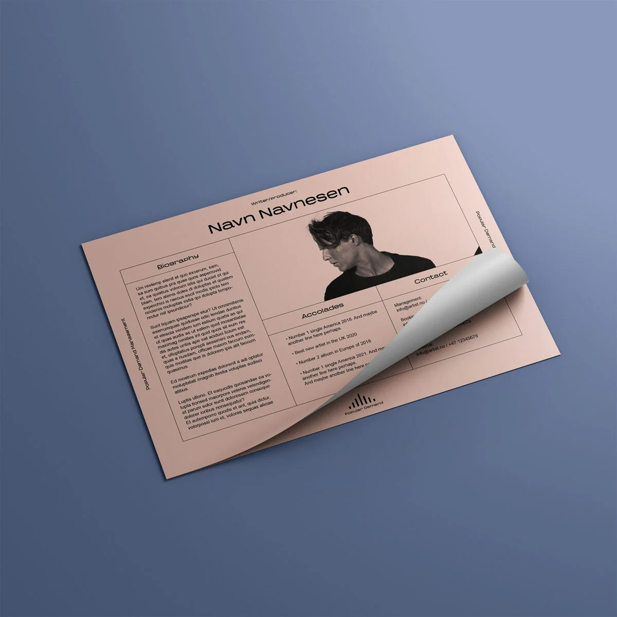 Artistbio-dokument i Powerpoint for Popular Demand