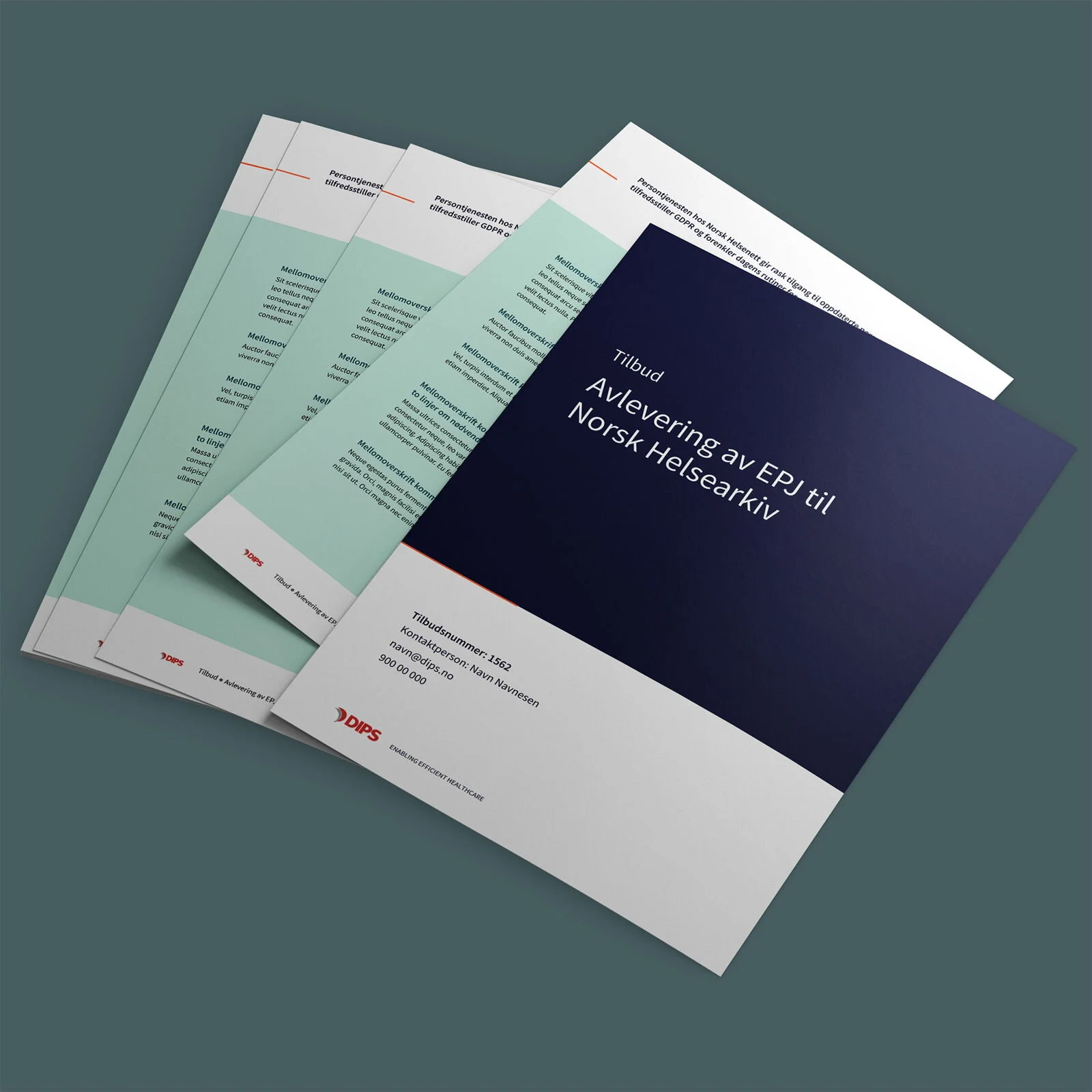 Tilbudsmal i Word for DIPS