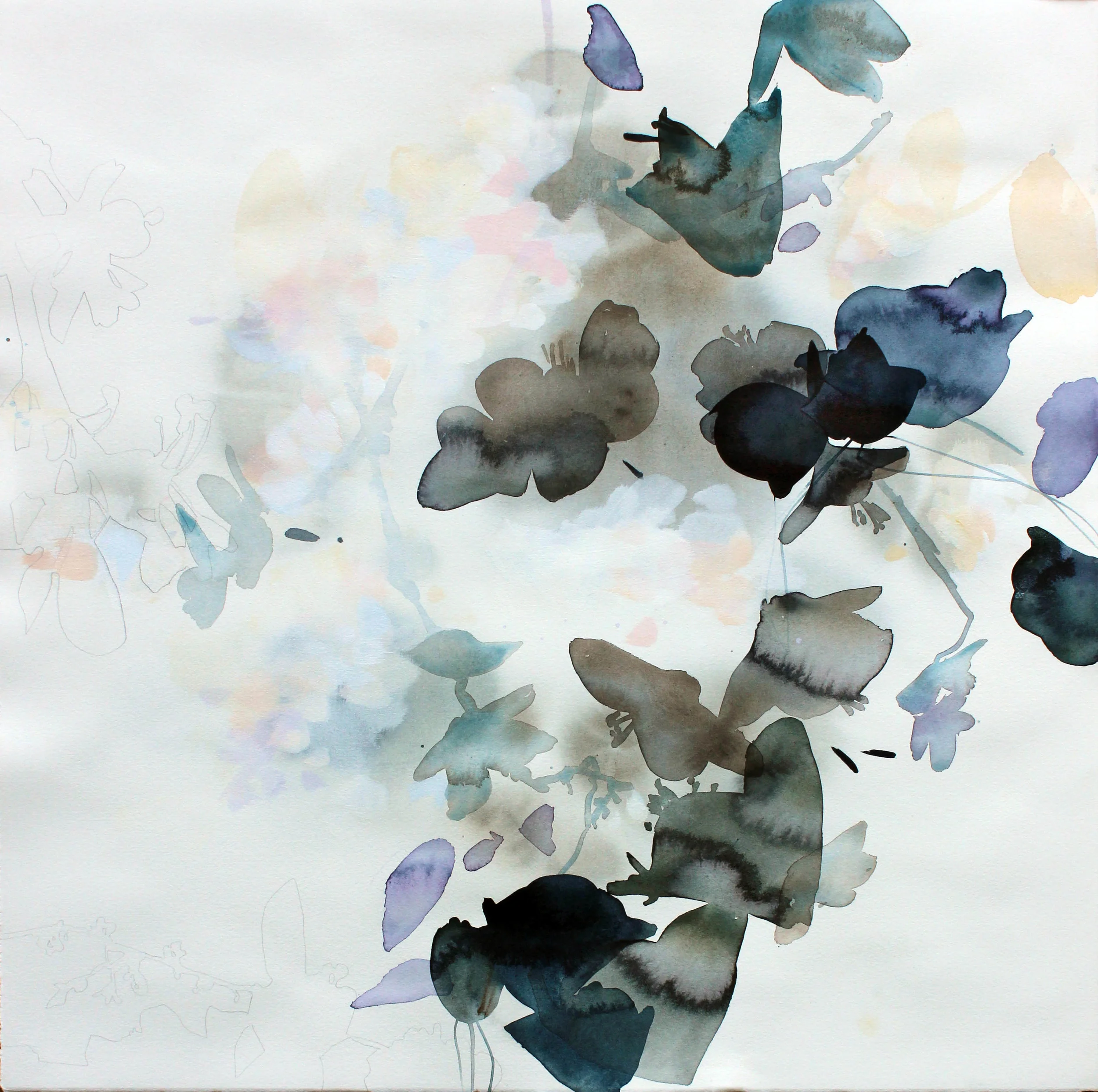 Shadow's Flutter 2