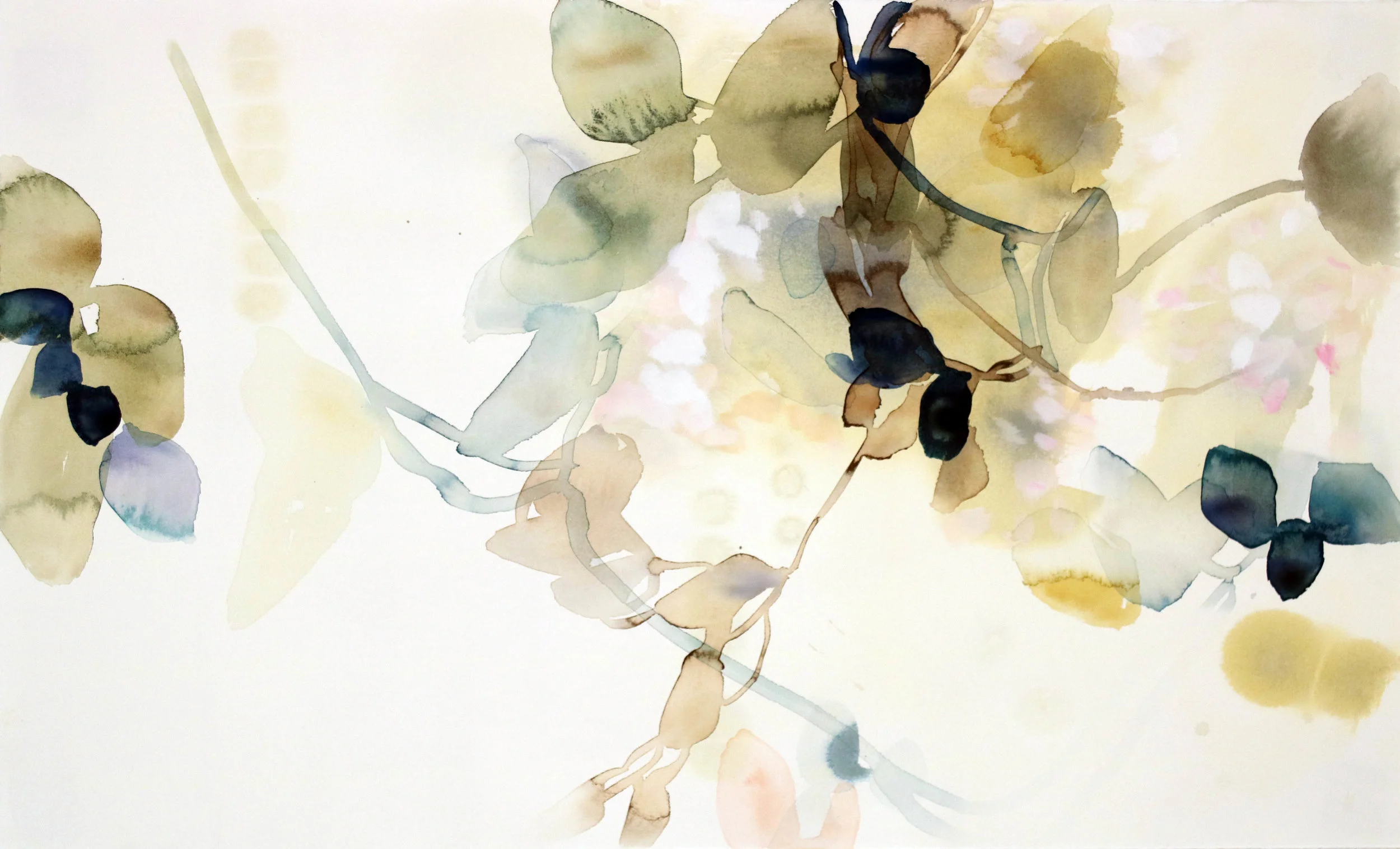 Native Spring 4