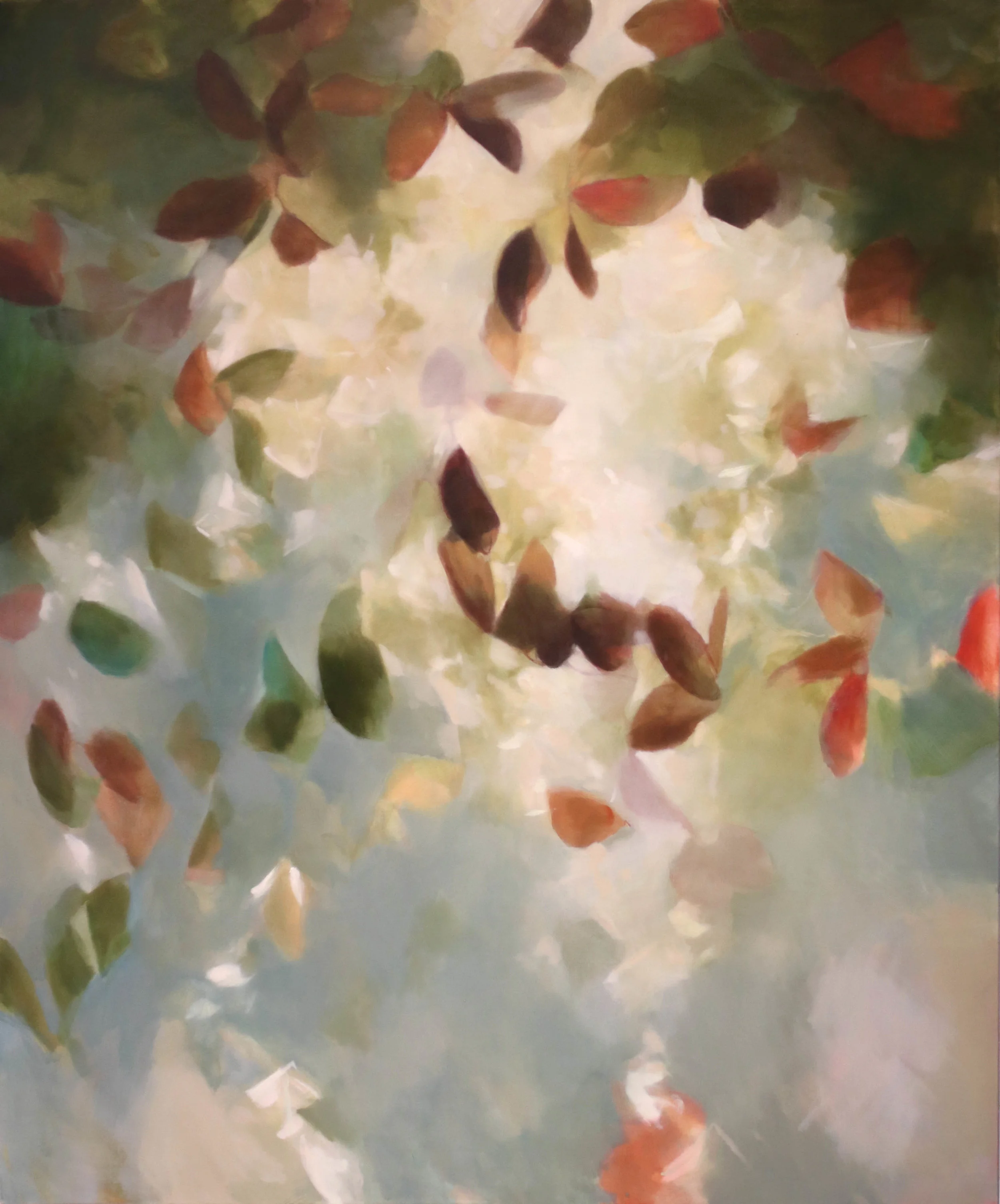 Shading Focus