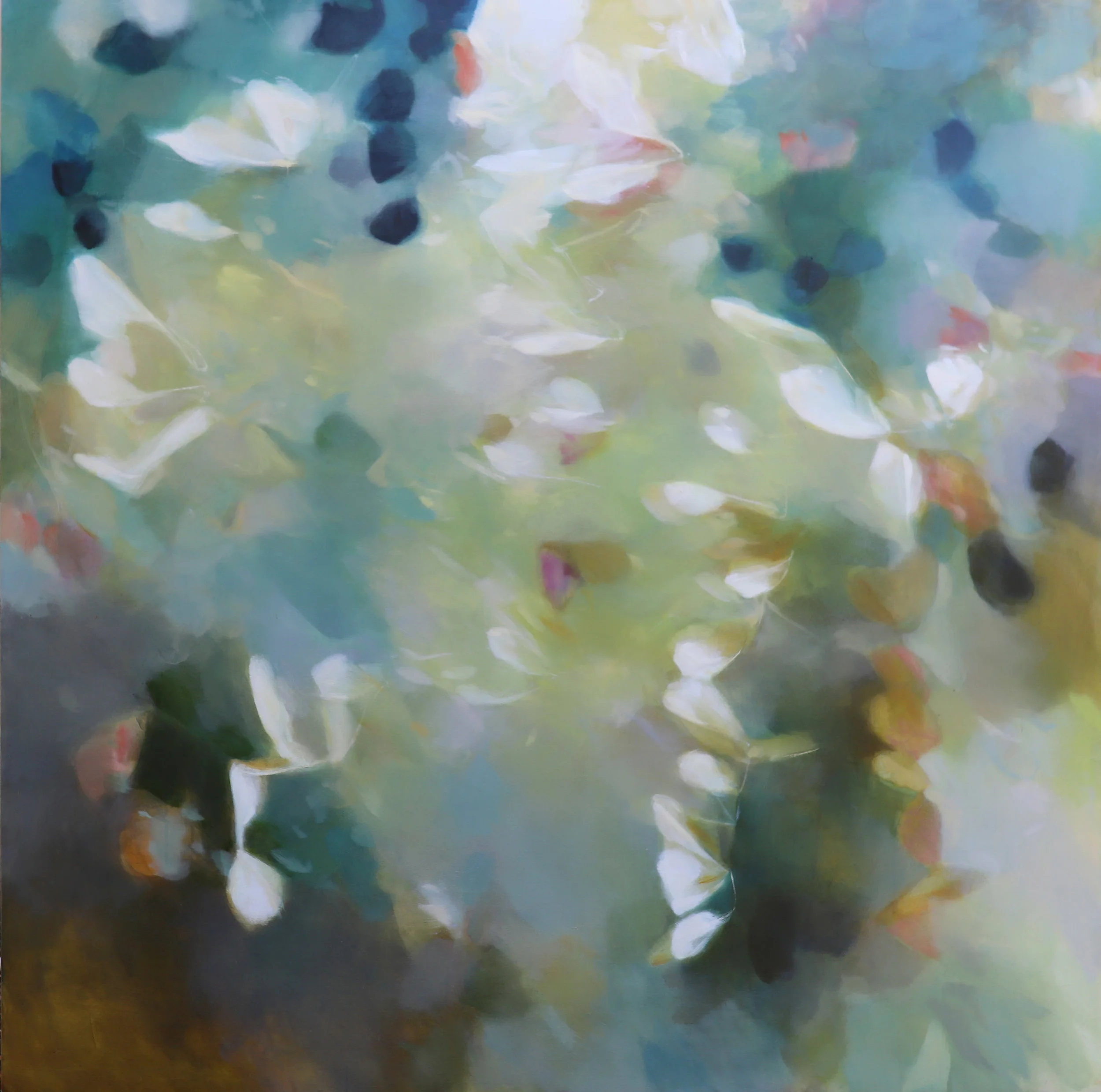 Spring's Ghost