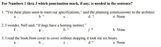 Language Punctuation - Sample