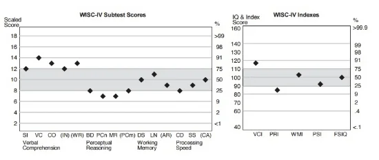 WISC Test Online - WISC Score Report Sample