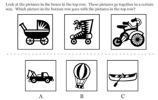 Wechsler Practice Test Online - Sample Question 