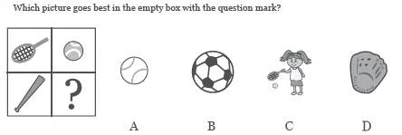 WISC IV Test Online - Sample Question