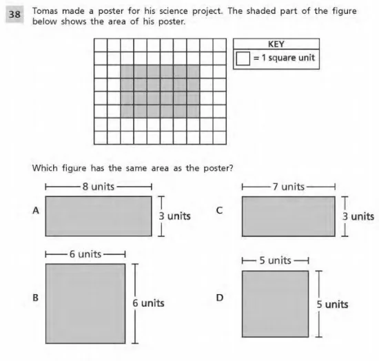 Grade 3 Math example : Measurement and Data Sample 2