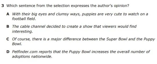 4th Grade STAAR sample QUESTION - Opinion example