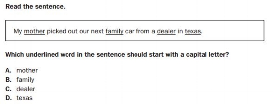 Georgia Milestones Practice Test - 4th Grade Language sample