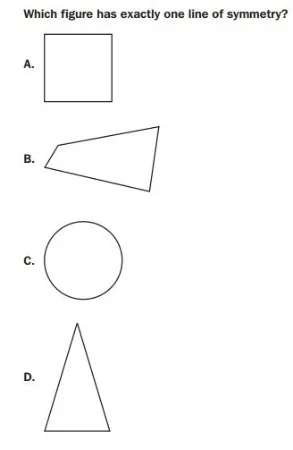 GMAS 4th gradeSymmetry sample