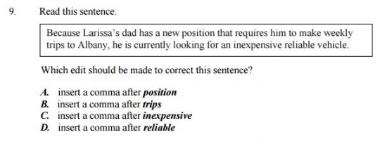 new SHSAT - Stand alone revising/editing sample