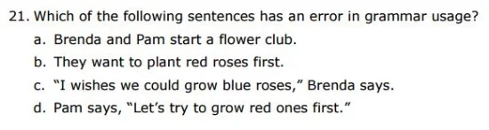 SBAC - 3rd Grade - Editing sample