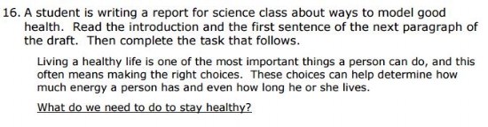  SBAC Practice Test 5th Grade - Brief Writing sample