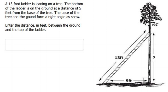 SBAC TEST - 8th grade Pythagorean Theorem sample