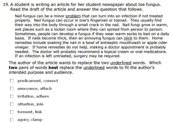OAKS Practice Test - 11th gradeRevising and Editing sample