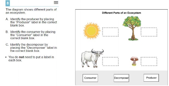  5th gradeInteraction sample