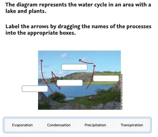 NWEA Practice Tests - Drag and Drop 2 sample