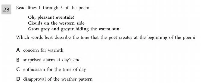ELA Practice Test 6th Grade - Tone sample